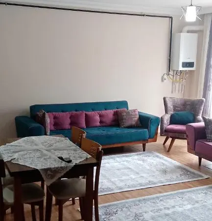 Apartment Sprink Living 1